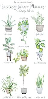 Green Thumb The Easiest Houseplants To Keep Alive Lauren Conrad Plants Indoor Plants Natural Home Decor