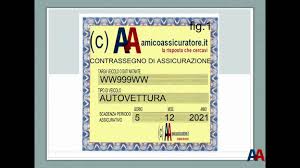 Image result for certificato assicurazione 1981 2021