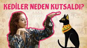 Misirda Kediler Neden Kutsaldir Youtube