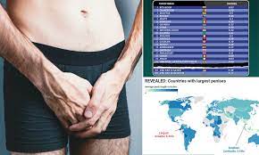 War of the willies! Data reveals the average penis sizes around the world |  Daily Mail Online