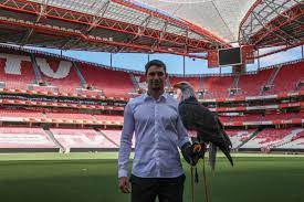 Benfica is the most supported portuguese club and the european club with the highest percentage of supporters in its own country, having over 230,000 members and an estimated 14 million supporters worldwide. Sl Benfica On Twitter He Smiles