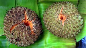 Conoce de sus cuidados, su riego, beneficios, tipos de cactus y mucho más de éstas plantas que las vainas no deben estar llenas de humedad, pero deben estar húmedas al tacto en el interior. 13 Frutas Exoticas Que Puedes Encontrar En El Mercado Central De San Salvador Las Has Probado Noticias De El Salvador Elsalvador Com
