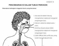 Bantuan operasional pendidikan tpq ini berasal dari dipa kementerian agama yang biasanya peraturan pemerintah nomor 48 tahun 2008 tentang pendanaan pendidikan (lembaran negara peraturan menteri agama nomor 42 tahun 2016 tentang organisasi dan tata kerja kementerian. Perkongsian Perjalanan Lembaran Kerja Kssr Pendidikan Kesihatan Tahun 3