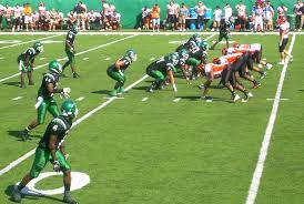 Blogul va contine pe langa stirile la zi din fotbalului american, adese utile ale federatiilor, cluburilor, etc. Fotbal American Wikipedia