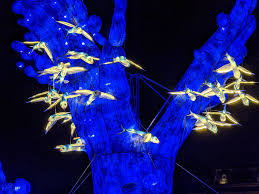 Direction le jardin des plantes pour une promenade féérique en nocturne dans le parc illuminé d'immenses lanternes magiques en forme d'animaux les belles plantes, le restaurant privatisable. Idee De Sortie A Paris Le Jardin Des Plantes Se Transforme En Aquarium Lumineux Geant Cnet France