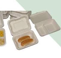 Paper Pulp Sugarcane Bagasse Biodegradable Disposable Lunch Box