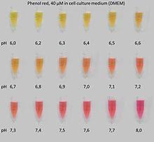 Why Does My 1640 Cell Culture Medium Change Colour With Time