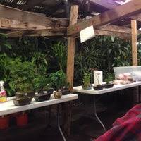 Alternatively you can use the www.sunshinebonsai.com. Sunshine Miniature Trees Vickery Meadows 7118 Greenville Ave