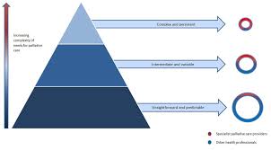 Hospice care is defined as a comprehensive set of services … identified and coordinated by an interdisciplinary team to provide for the physical, psychosocial, spiritual, and emotional needs of a terminally ill patient and/or family members, as delineated in a specific patient plan of care.1, 2. Framework On Palliative Care In Canada Canada Ca