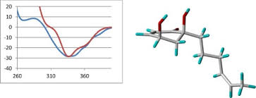 Image result for Lannea schweinfurthii