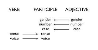 Participles Present And Future Active Ancient Greek For