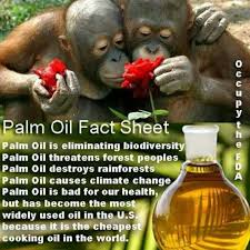 Palm Oil Fact Sheet Check Your Cereals Peanut Butter And Crisps Before Buying Palm Oil Free Products Palm Oil Save The Orangutans