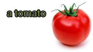 How to pronounce bob t. How To Pronounce Tomato In American English Youtube