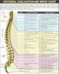 Vertebral Subluxation And Never Chart The Nervous System