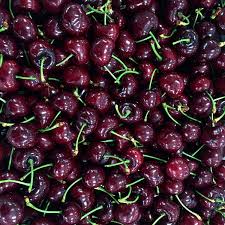 Beautiful Skeena Cherries Cherry Fruit Berries