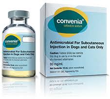 Convenia Antibiotic Treatment For Canine Feline Skin