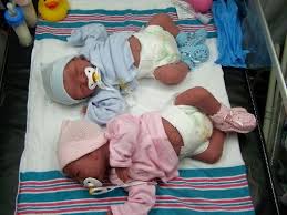 Birds And Bees Nursery Birds Bees Nursery Silicone Babies Reborn Baby Dolls Twins Silicone Baby Dolls Real Baby Dolls
