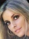 Sharon Tate Family History & Historical Records