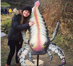 There are 14 genera in the family, in two subfamilies, nepinae and ranatrinae. Model Of Scorpy The 450 Million Year Old 6 Foot Long Sea Scorpion A Fossil Of Which Was Found In A Meteorite Crater In Iowa Usa Naturewasmetal