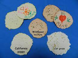When it's time to plant the card, it can be planted whole or shredded to cover a larger area. Make Seed Paper Nasa Climate Kids