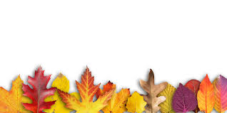 Gambar : pohon, cabang, menanam, daun bunga, perayaan, spanduk, musim  gugur, warna-warni, peta, daun maple, riang, Daun-daun, festival, Latar  Belakang, ulang tahun, berwarna, berbatasan, salam, kartu ucapan, musim  gugur emas, dana, tanaman