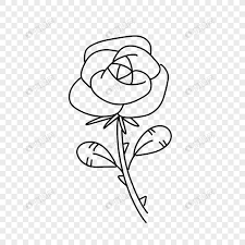 Rose Flower Stick Figure Png Image Picture Free Download 401701431 Lovepik Com But the red rose meaning, white rose meaning, yellow rose meaning and black rose meaning are all very different.