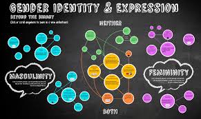 Pin By Erin Franzinger Barrett On Emily S Virtual Rocket Gender Identity Gender Spectrum Gender