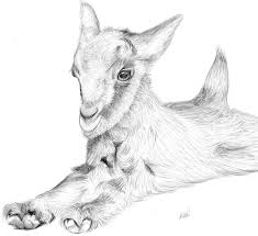 Https I Pinimg Com Originals 1b C7 54 1bc7543d7f930abec8a0d7f9973559ad Jpg Goat Art Goat Paintings Pencil Drawings