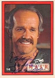 Happy birthday Lee Bushby and happy milestone birthday Aidan Horan from all  of the crew! Hope you have a great day 🎂🎶🍻