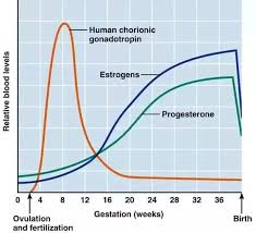 what is the difference between pre ovulation progesterone