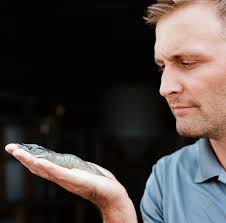 LA's modular shrimp RAS