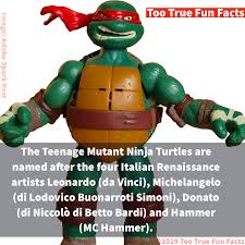 Teenage Mutant Ninja Turtles Fun Fact Fun Fact Friday Fun Facts Comedy Memes