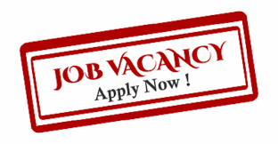 Government jobs seekers can get latest govt jobs notifications with various information such as govt vacancies, 10th govt jobs, 12th govt jobs, eligibility, state and central government jobs and important dates updated on 02.05.2021. Sales Assistant Cum Cashier