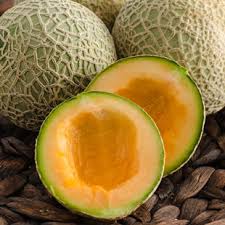 Ambrosia cantaloupe melon 50 seeds hope home goods information recipes and facts grow hybrid at seeds: Ambrosia Hybrid Cantaloupe Gurney S Seed Nursery Co