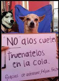 Pin De Alicia Doria En Memes Muero De Risa Risa