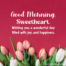 We did not find results for: 90 Good Morning Messages For Wife Wishesmsg