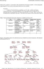 identification of an unknown bacterium and writing up a