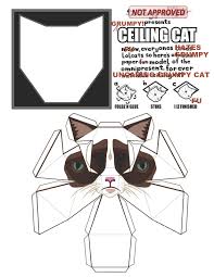 Chip papercraft tiere / papercraft vorlagen zum ausdrucken pokemon : Grumpy Ceiling Cat Papercraft Yes It Really Happened Many Thanks To Tubby Paws For The Original Paper Toys Template Paper Crafts Paper Toys