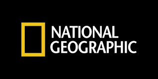 The Story Behind the National Geographic Logo Design - GreyBox ...