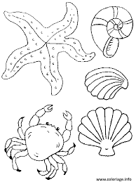 Coloriage Coquille De Plage Avec Crabe Dessin Ete A Imprimer