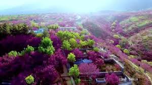 The revered home of the mosque of the sacred cloak and a city steeped in history, kandahar sits at the crossroads where southern afghanistan meets the mountains of the country's heartland. Kabul Afghanistan Natural Beauty Nature Outdoor