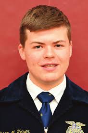 Wayne Layout Template