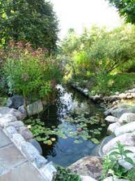 Healing Garden The Travelling Horticultural Therapist Healing Garden Amazing Gardens Lush Lawn