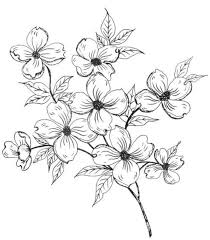 42 Simple And Easy Flower Drawings For Beginners Cartoon District Flower Drawing Design Easy Flower Drawings Flower Sketches
