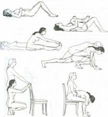 Pin On Back Exercises At Home
