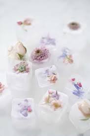 Maybe you would like to learn more about one of these? Fizz Mastery Edible Flowers Jacksonville Florida Seedlings Atlantic Beach Urban Farms Looking To Send Fresh Flowers Or Gifts Delivery To Jacksonville We Are Your Local Flower Shop For Affordable Flower Delivery