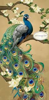 How to draw a peacock feather in color pencils | realistic peacock feather drawing i am showing how to draw a peacock. Design Peacock Feather Pencil Drawing Novocom Top