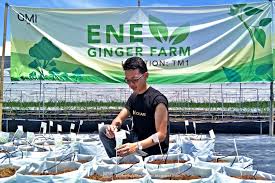 Maybe you would like to learn more about one of these? 9 Tempat Menarik Di Tanjung Malim Yang Wajib Anda Lawati Bidadari My