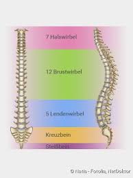 Bandscheibenvorfall Symptome Diagnose Behandlung Netdoktor