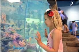 Seaquest Woodbridge Aquariums In Nj In Woodbridge Middlesex County New Jersey